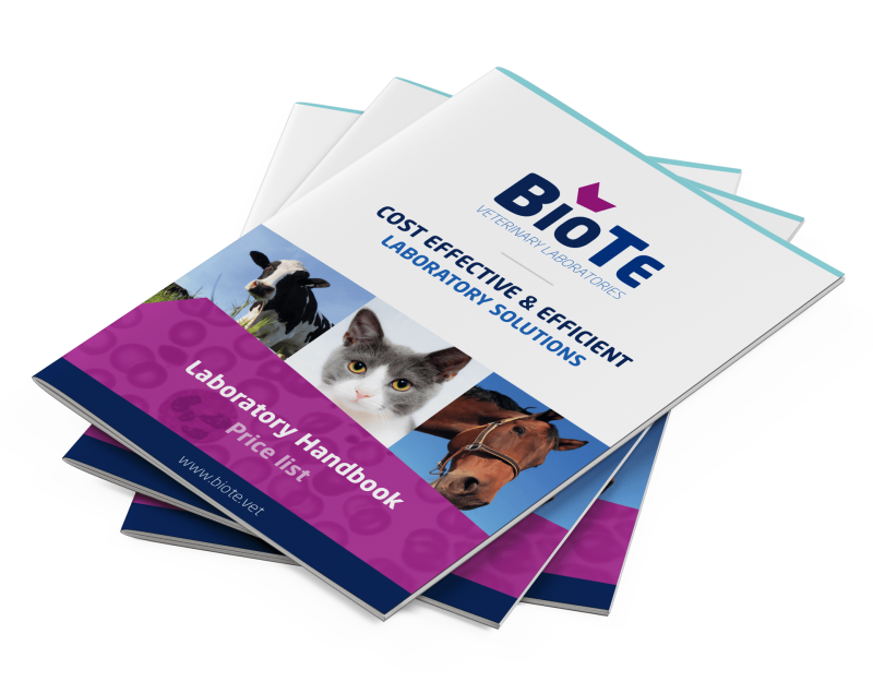 BioTe brochure