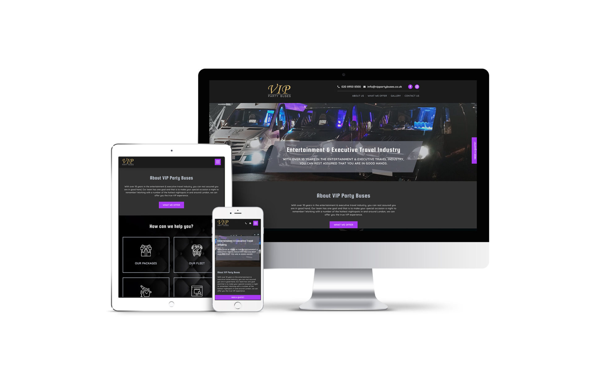 VIP party buses website design