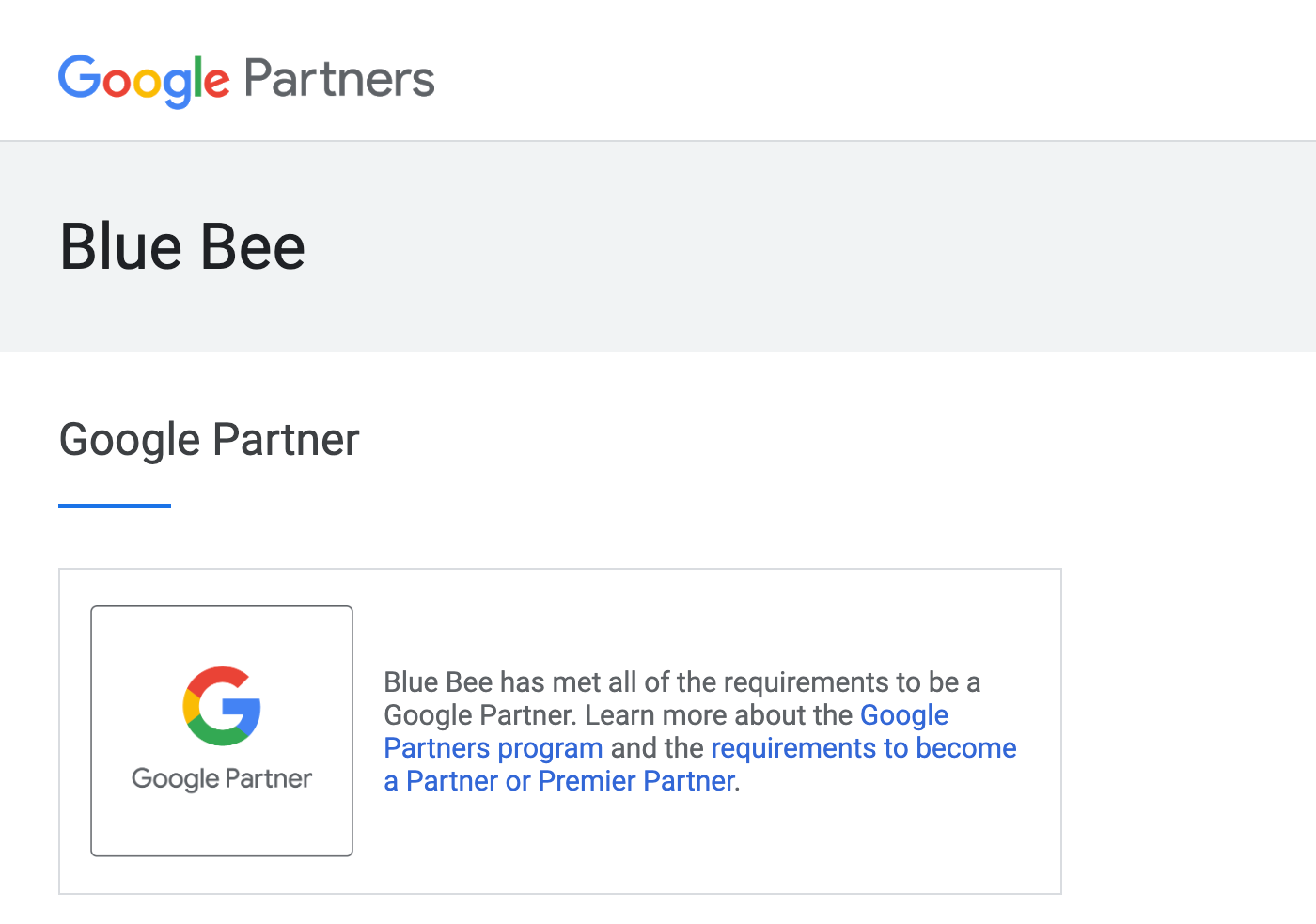 bluebee Google partner