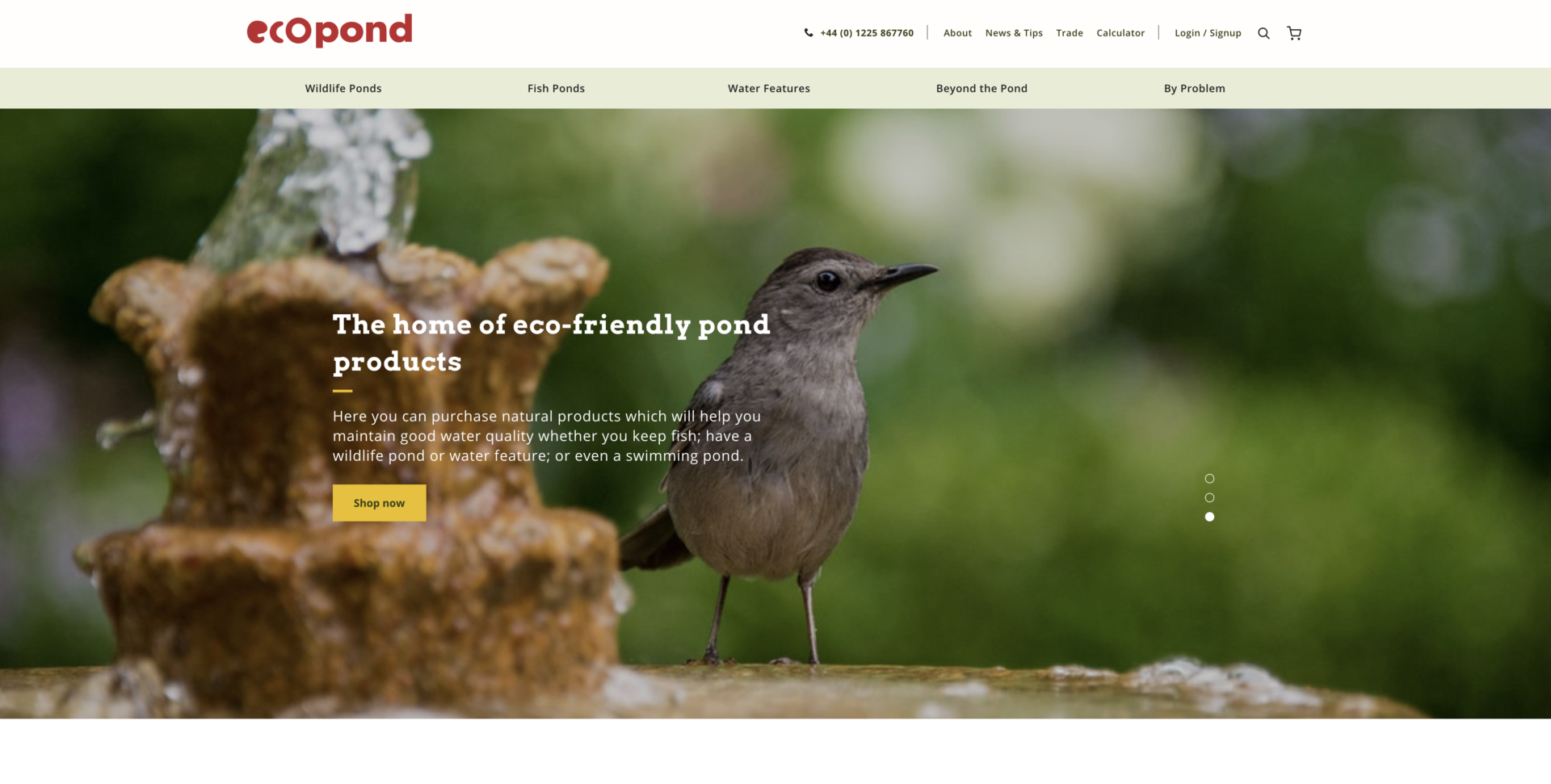 Eco Pond Website Design Screenshot