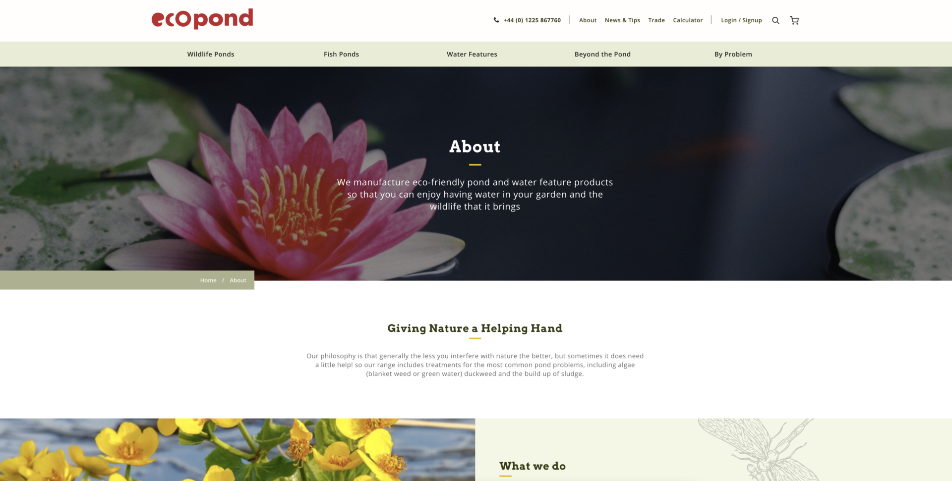 Eco Pond Website Design Screenshot