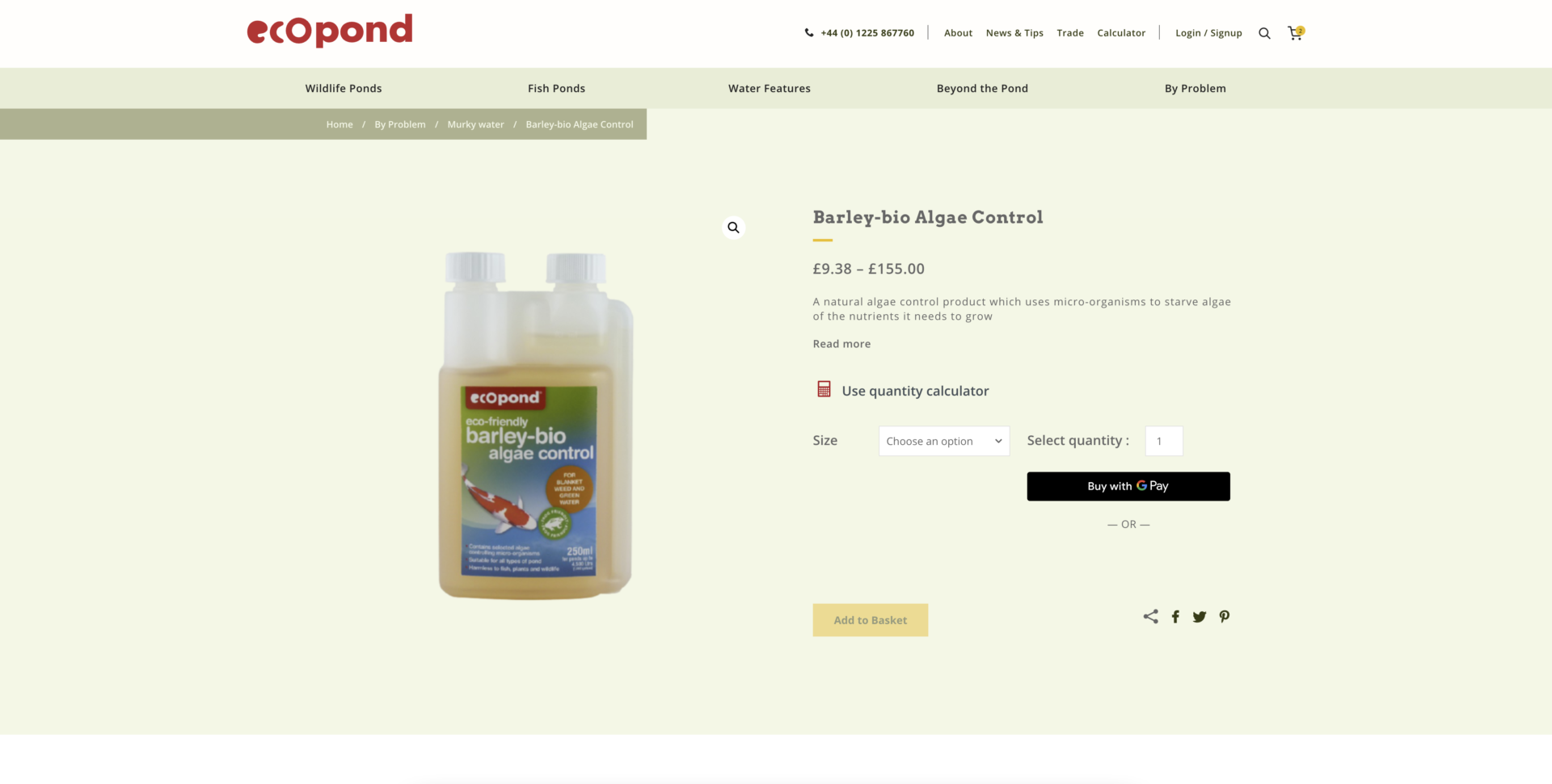 Eco Pond Website Design Screenshot