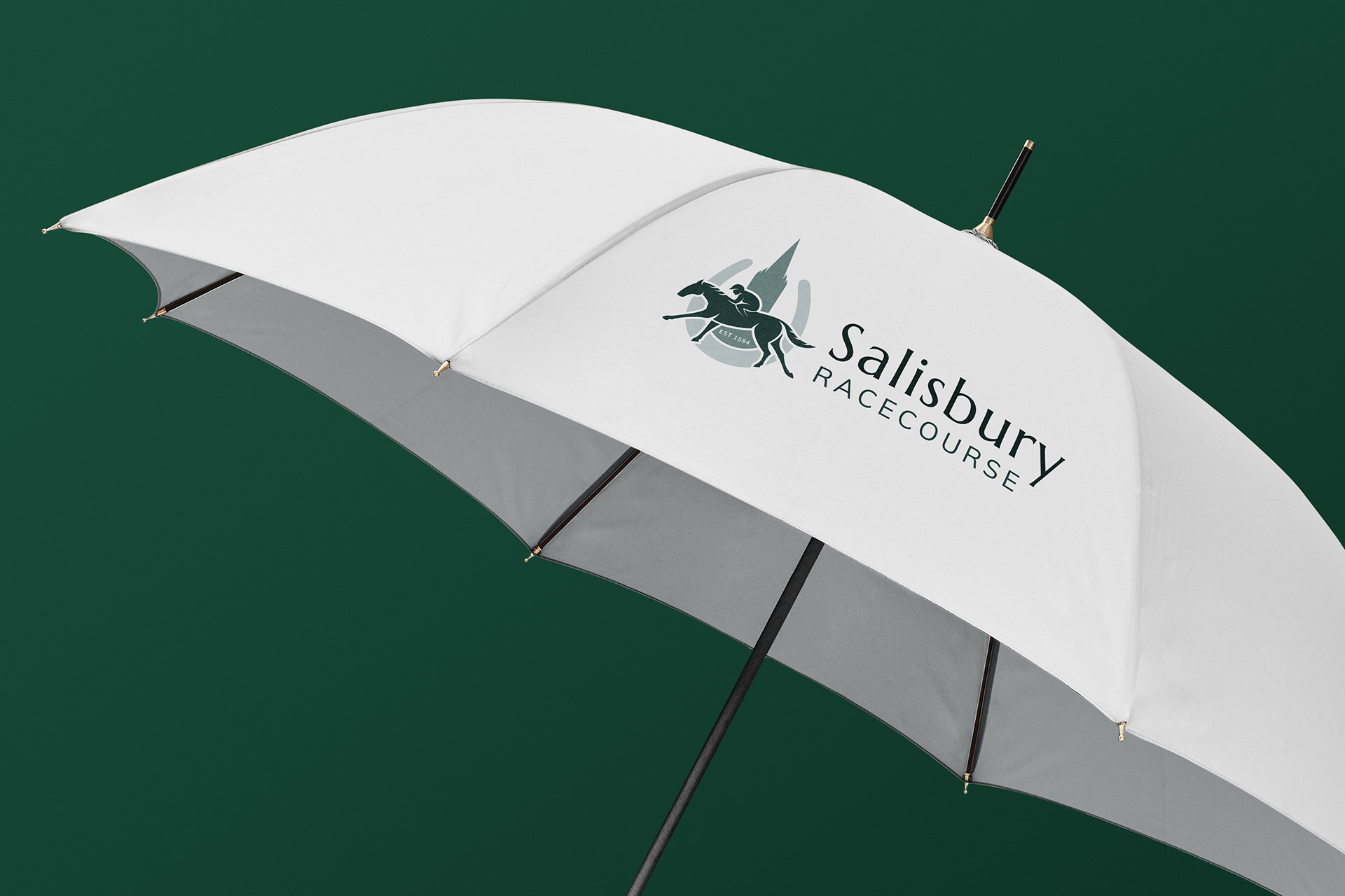 Salisbury Racecourse logo design